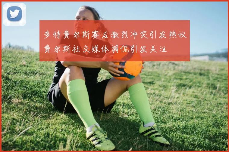 多特费尔斯赛后激烈冲突引发热议费尔斯社交媒体调侃引发关注