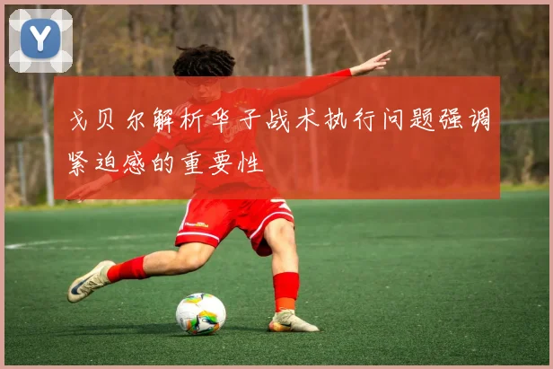 戈贝尔解析华子战术执行问题强调紧迫感的重要性