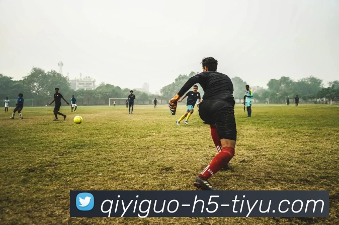 App Interface Preview