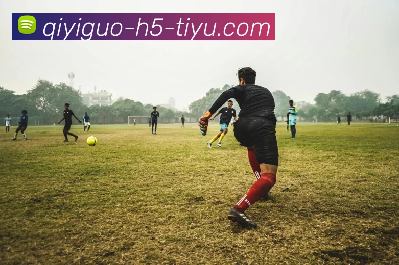 奇异果体育APP 封面图