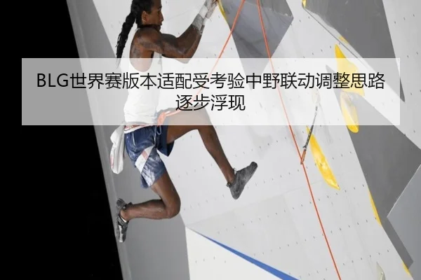 BLG世界赛版本适配受考验中野联动调整思路逐步浮现